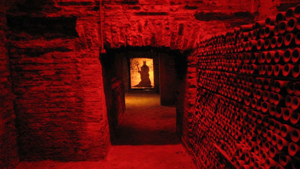 Tour And Tasting At Concha Y Toro Vineyard foto 4