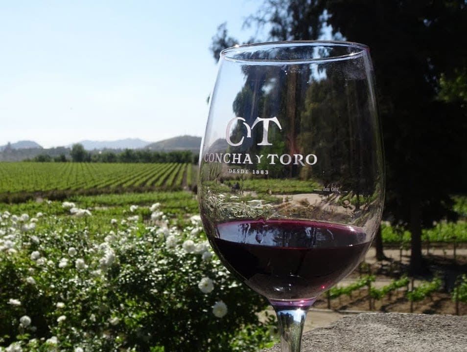 Tour And Tasting At Concha Y Toro Vineyard foto 7