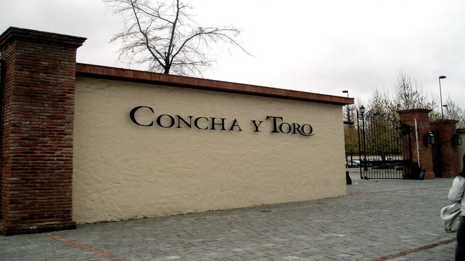 Tour And Tasting At Concha Y Toro Vineyard (4)