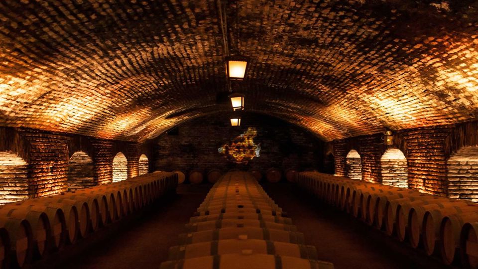 Tour And Tasting At Concha Y Toro Vineyard foto 2