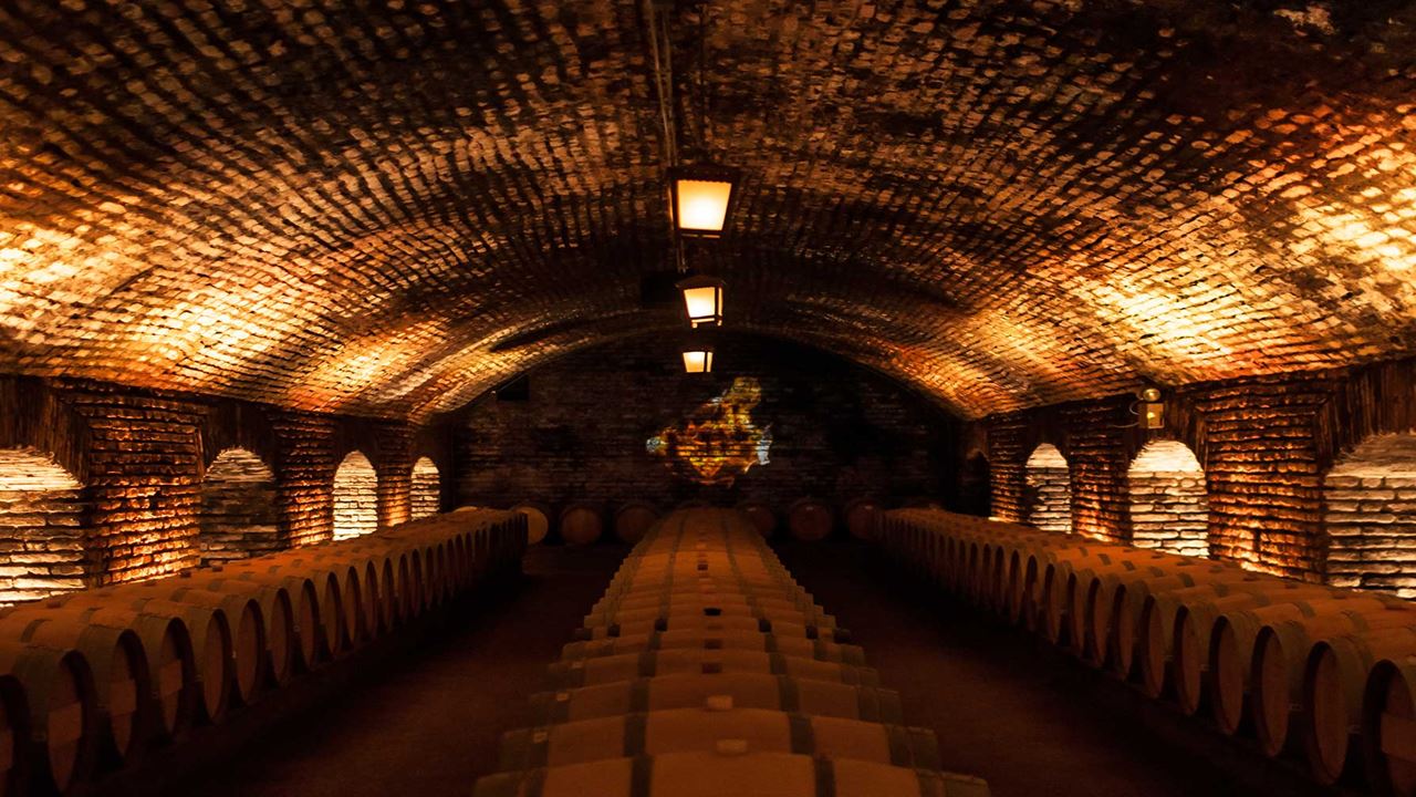 Tour And Tasting At Concha Y Toro Vineyard (1)