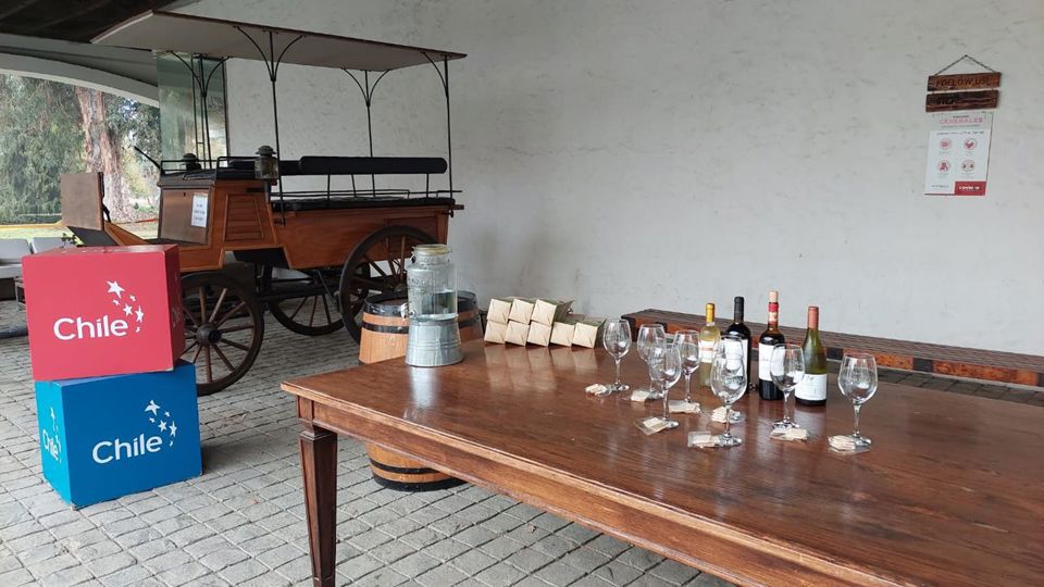 Undurraga Vineyard Tour And Tasting From Santiago foto 11