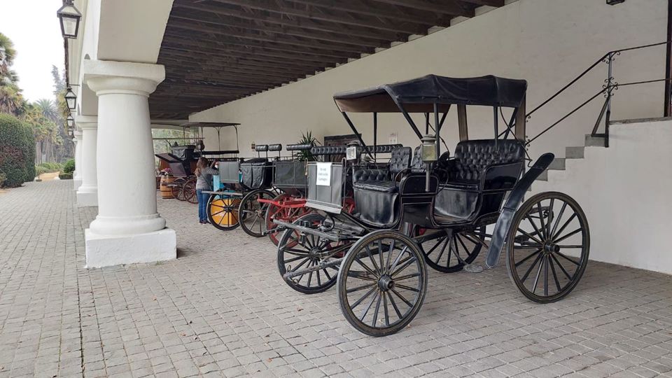Undurraga Vineyard Tour And Tasting From Santiago foto 10