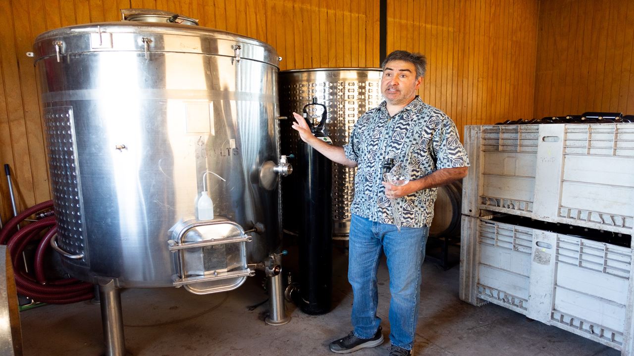 Wine Tour And Tasting - Casablanca Valley Boutique Vineyards (9)