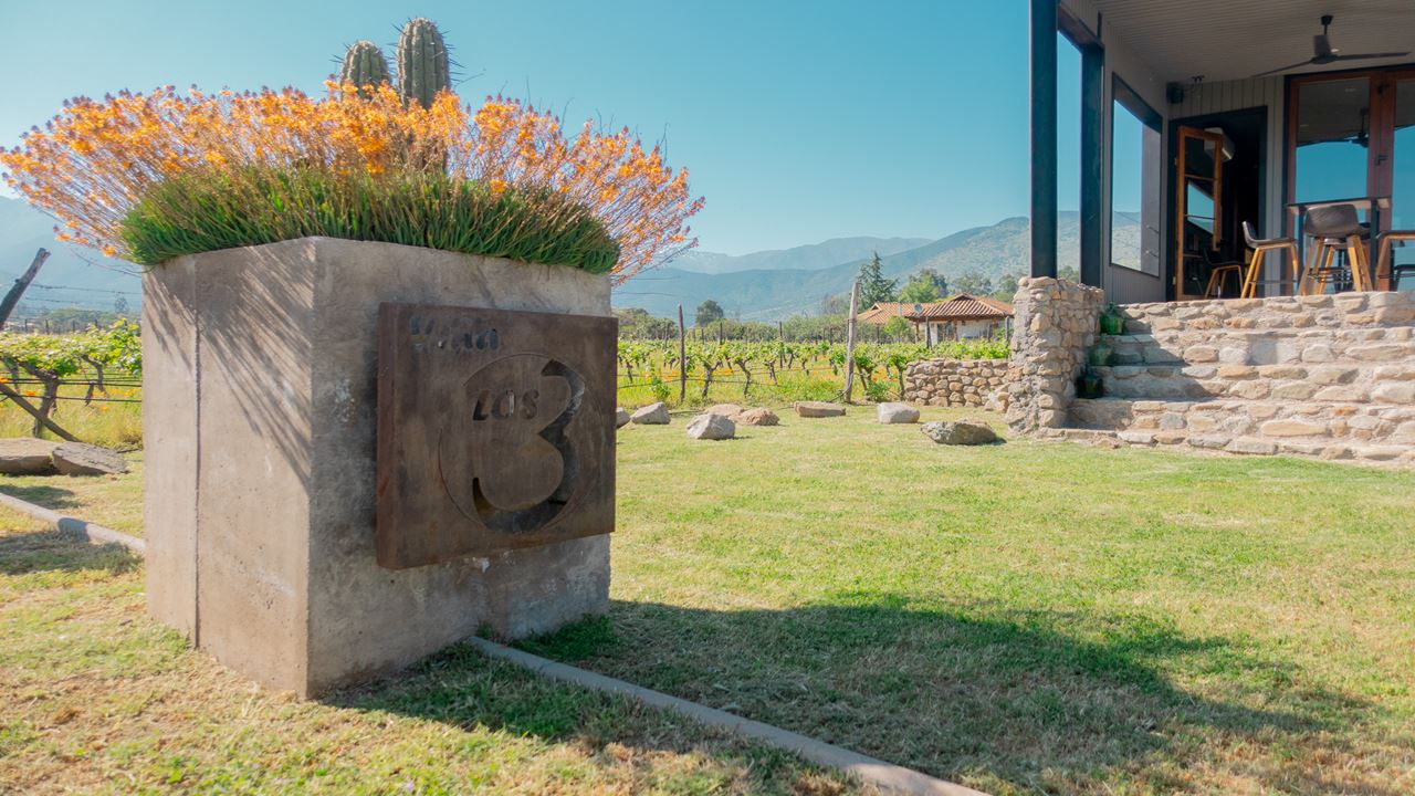Wine Tour And Tasting - Casablanca Valley Boutique Vineyards (8)