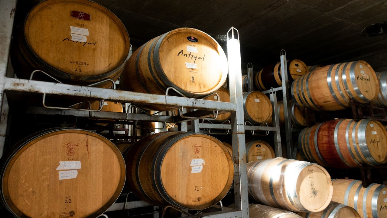 Wine Tour And Tasting - Casablanca Valley Boutique Vineyards (1)