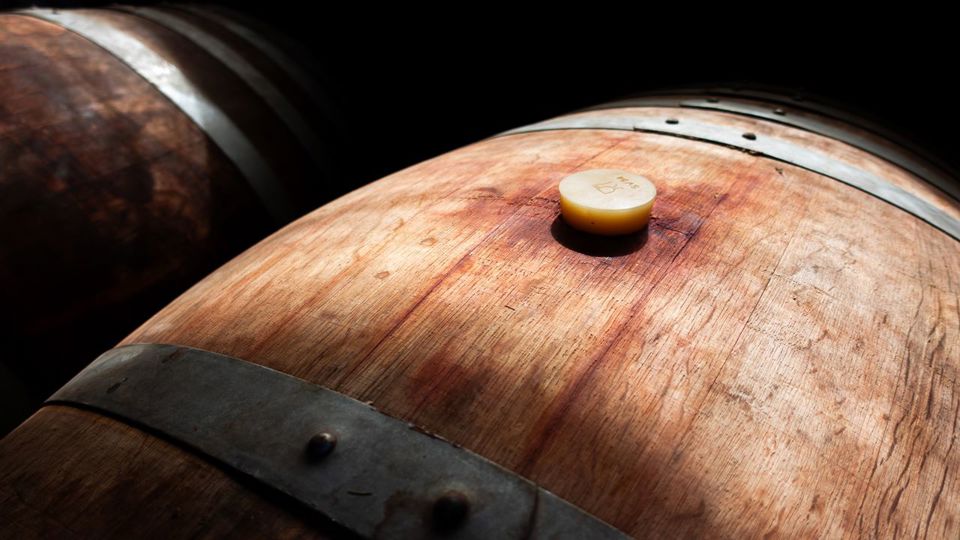 Wine Tour And Tasting - Casablanca Valley Boutique Vineyards foto 11