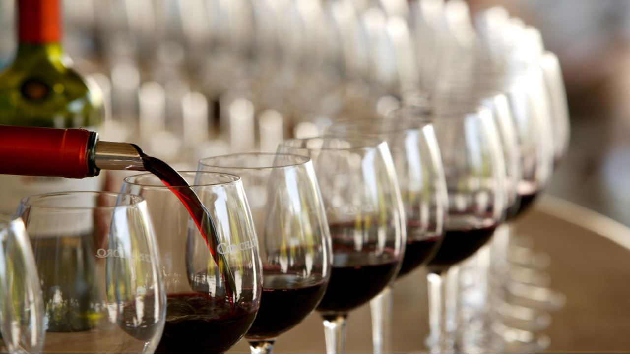 Wine Tour And Tasting - Maipo Valley Boutique Vineyards (3)