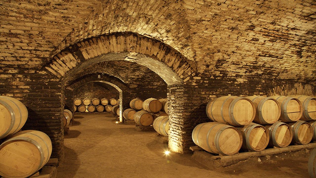 Wine Tour And Tasting - Maipo Valley Boutique Vineyards (2)