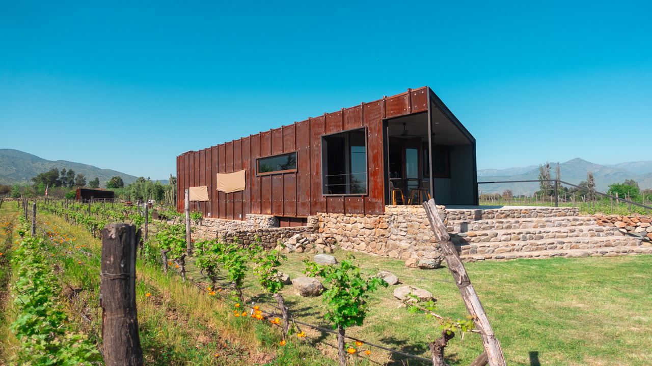 Wine Tour And Tasting - Maipo Valley Boutique Vineyards (4)