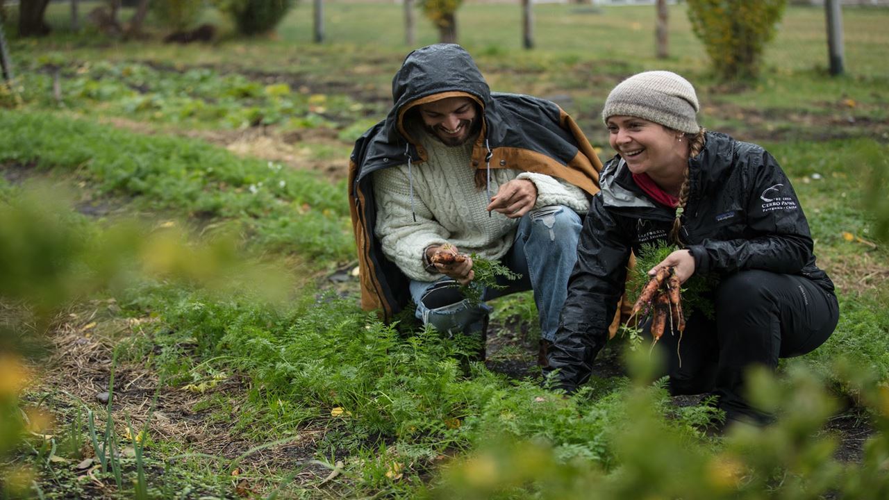 Seguindo O Rastro Do Puma foto 3
