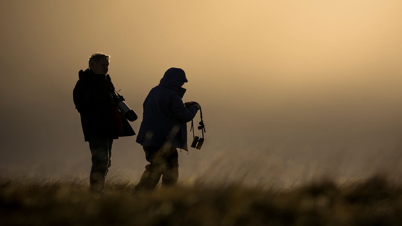 Seguindo O Rastro Do Puma foto 5