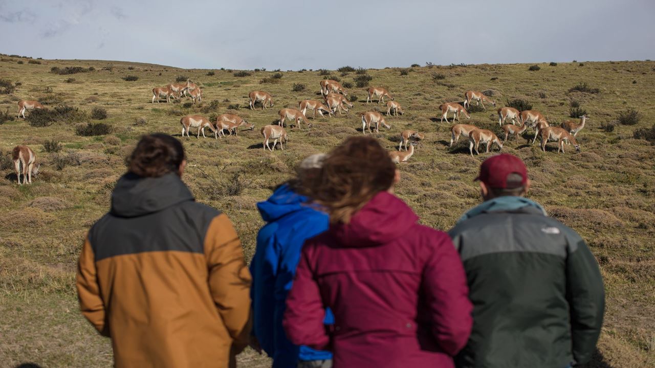 Seguindo O Rastro Do Puma foto 4