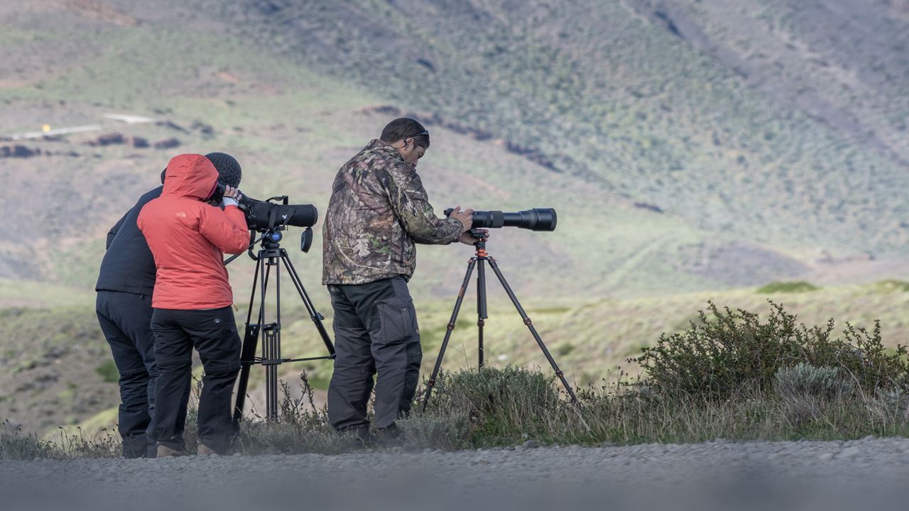 Seguindo O Rastro Do Puma foto 9