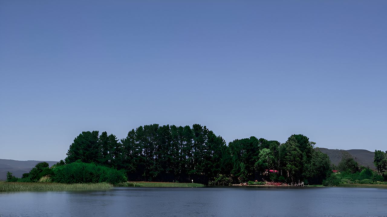 Travessia Para A Península De San Ramon Em Valdivia
 foto 11