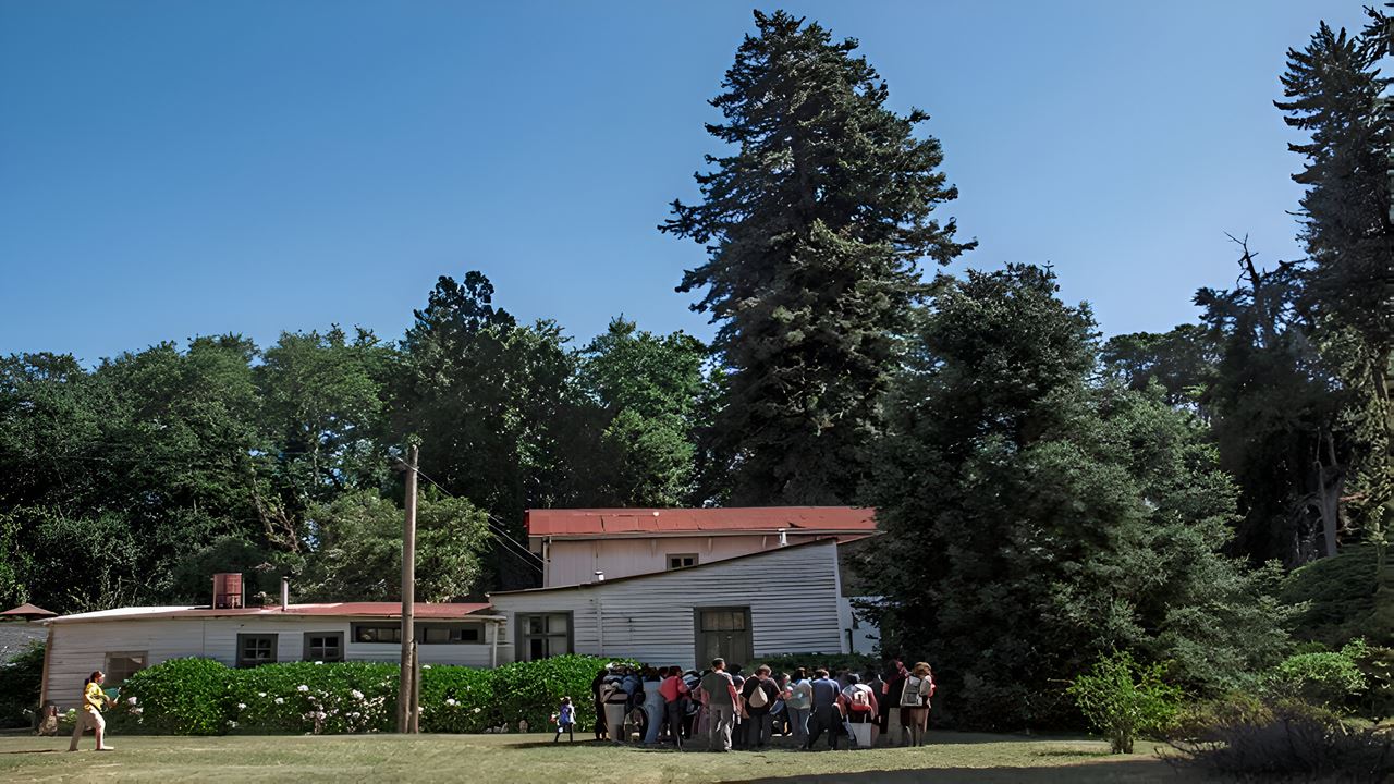 Travessia Para A Península De San Ramon Em Valdivia
 foto 3