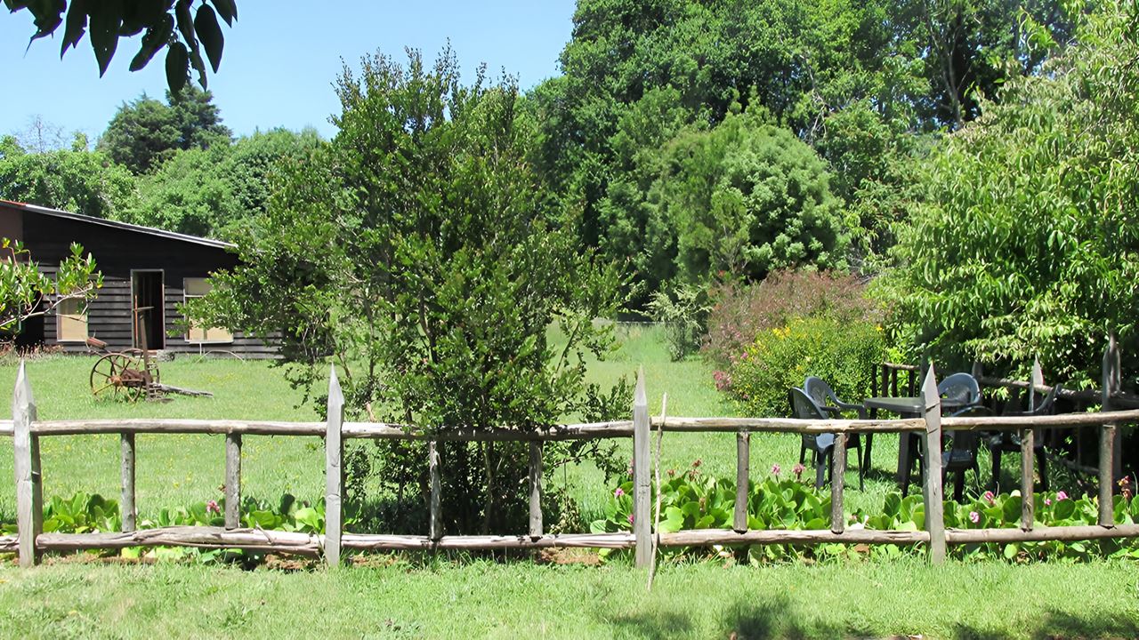 Travessia Para A Península De San Ramon Em Valdivia
 foto 10