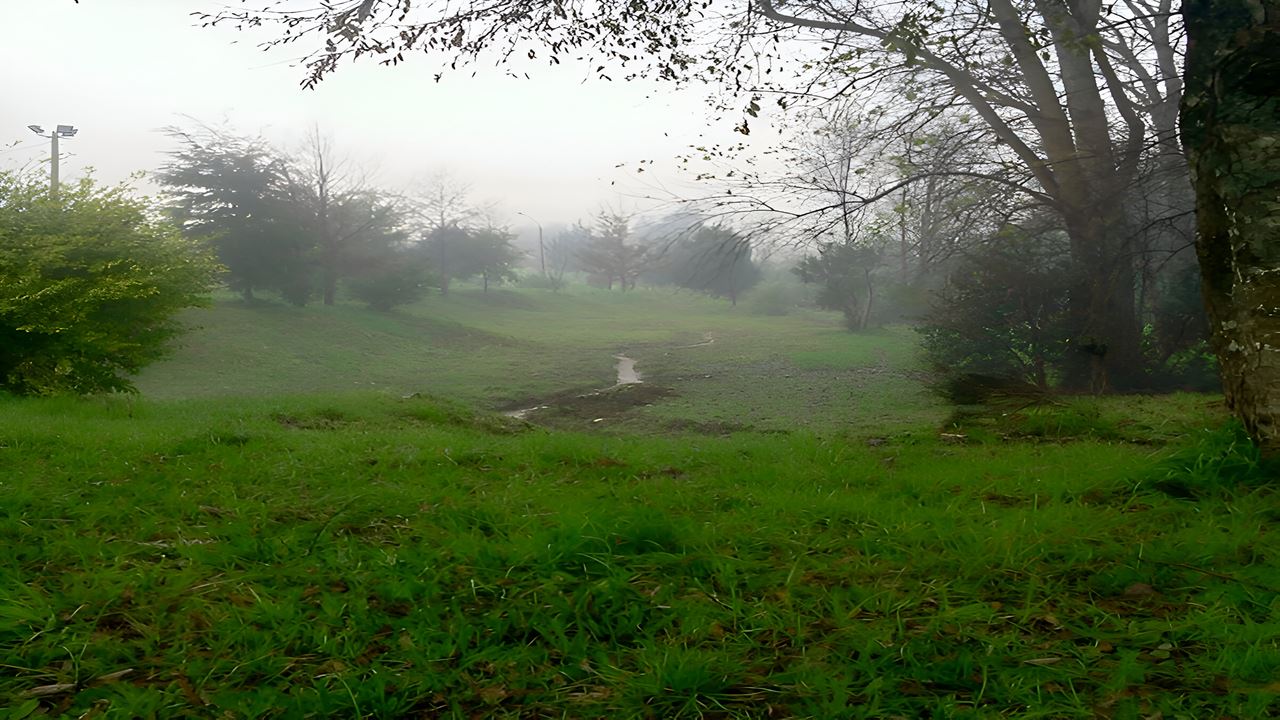 Travessia Para A Península De San Ramon Em Valdivia
 foto 1