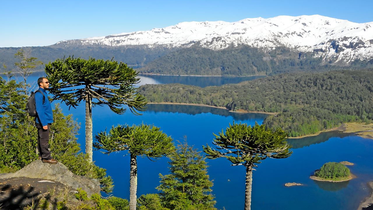 Full-day Trip From Pucon To San Martin De Los Andes foto 6