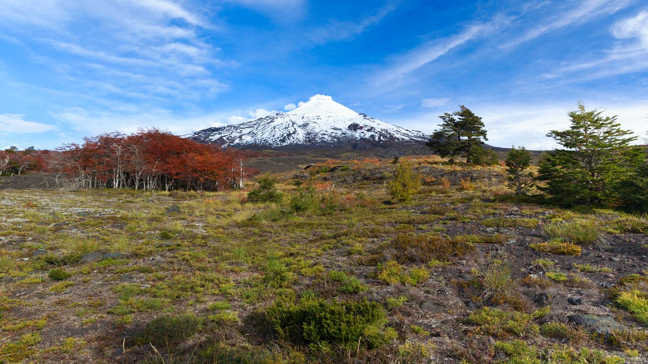 Villarrica Volcano Ascent Trek foto 5