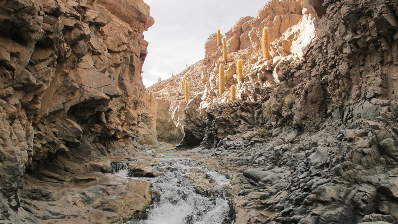 Trekking Through Puritama Canyon And The Guatin Community (3)