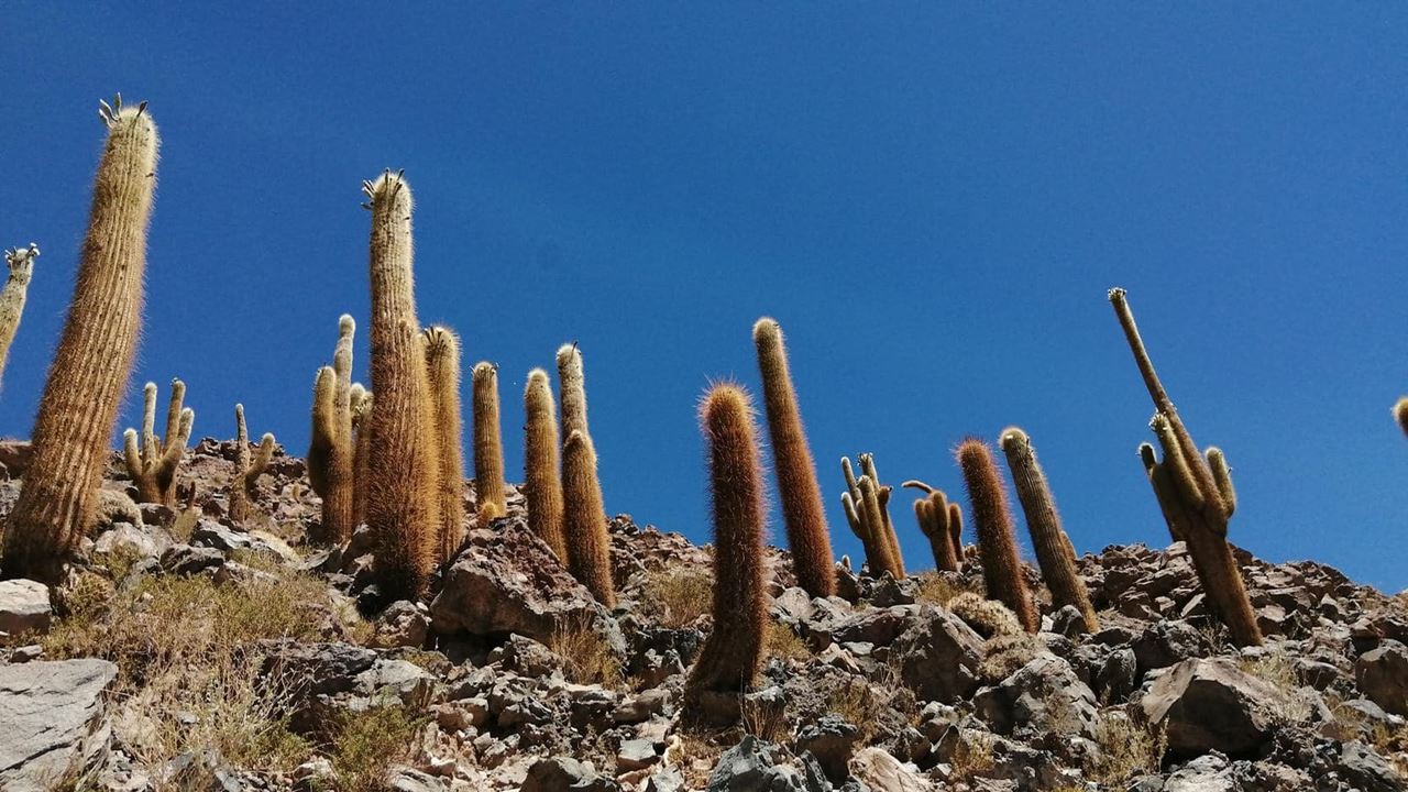 Trekking Through Puritama Canyon And The Guatin Community (8)
