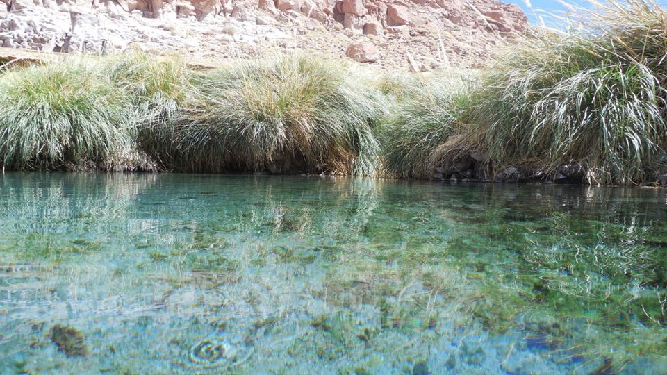 Trekking Through Puritama Canyon And The Guatin Community foto 3