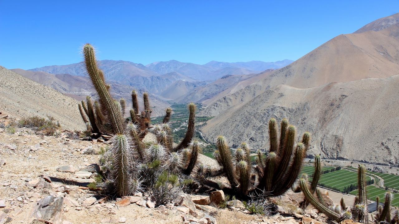 Trekking Through Puritama Canyon And The Guatin Community (6)