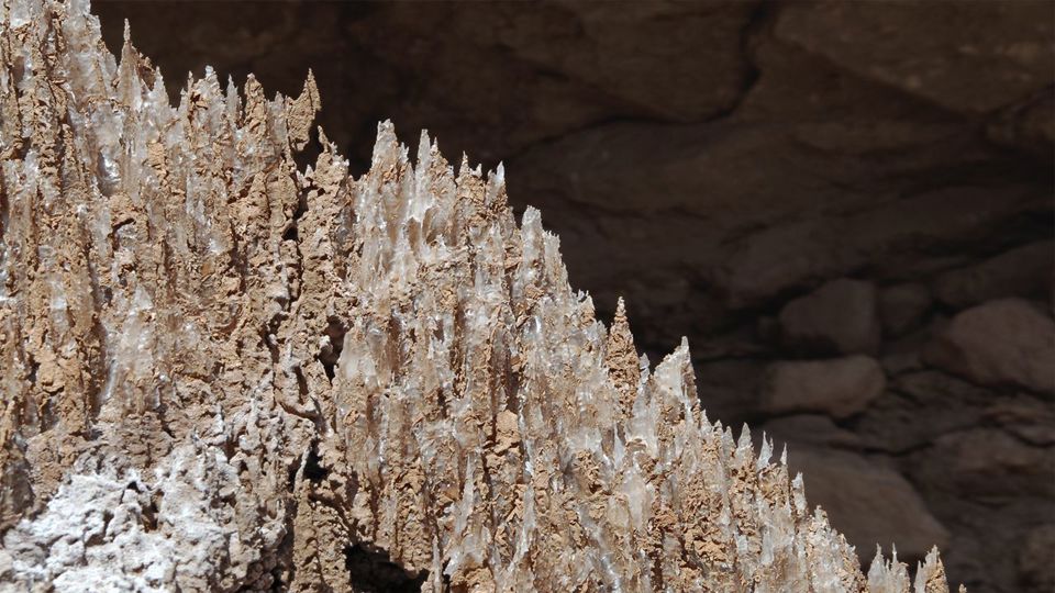 Hidden Waterfall Trekking foto 1