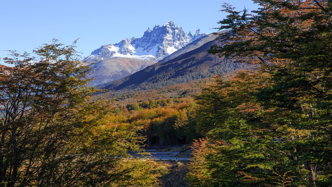 Trekking Laguna Verde - Parque Nacional Cerro Castillo foto 4