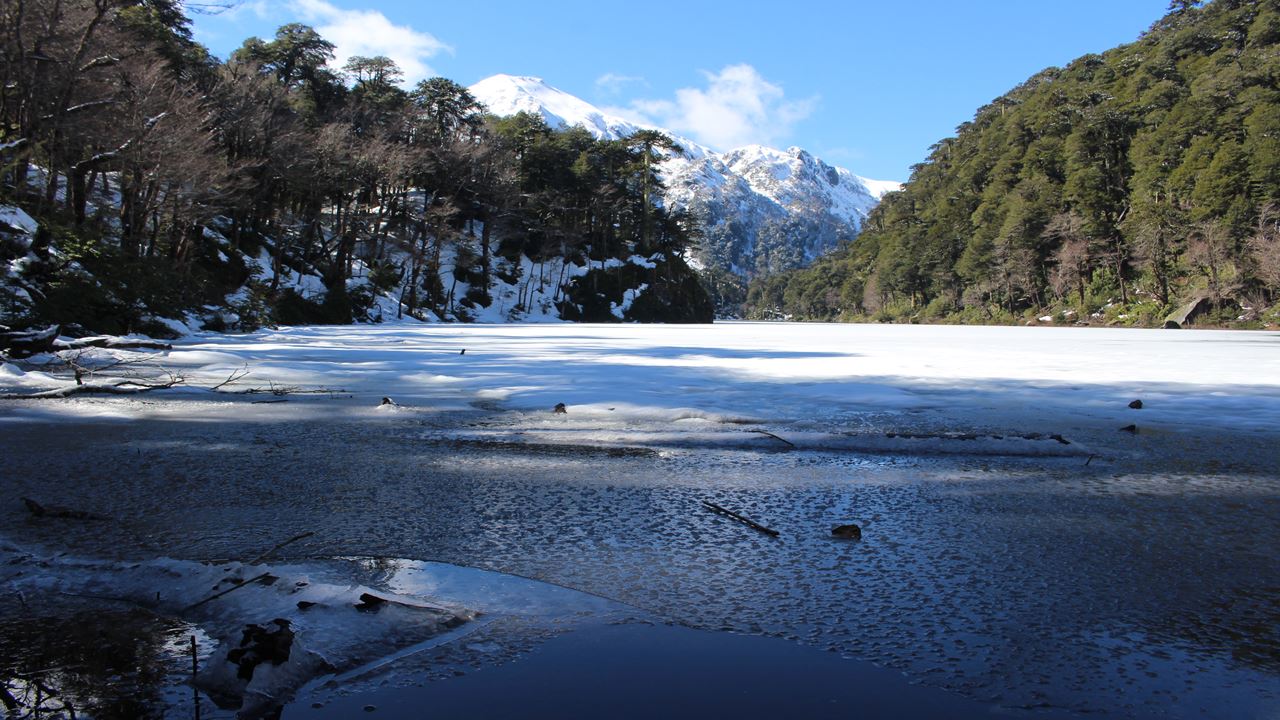 Trekking Parque Nacional Huerquehue foto 1