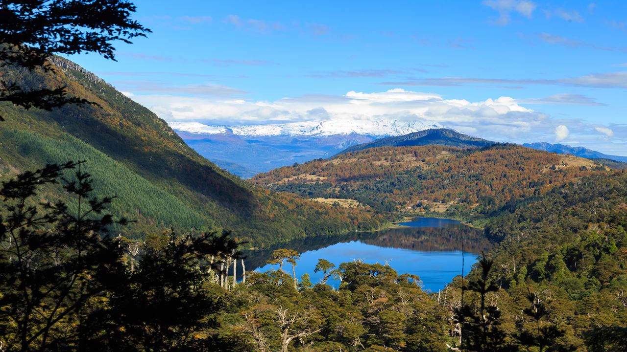 Trekking Parque Nacional Huerquehue foto 7