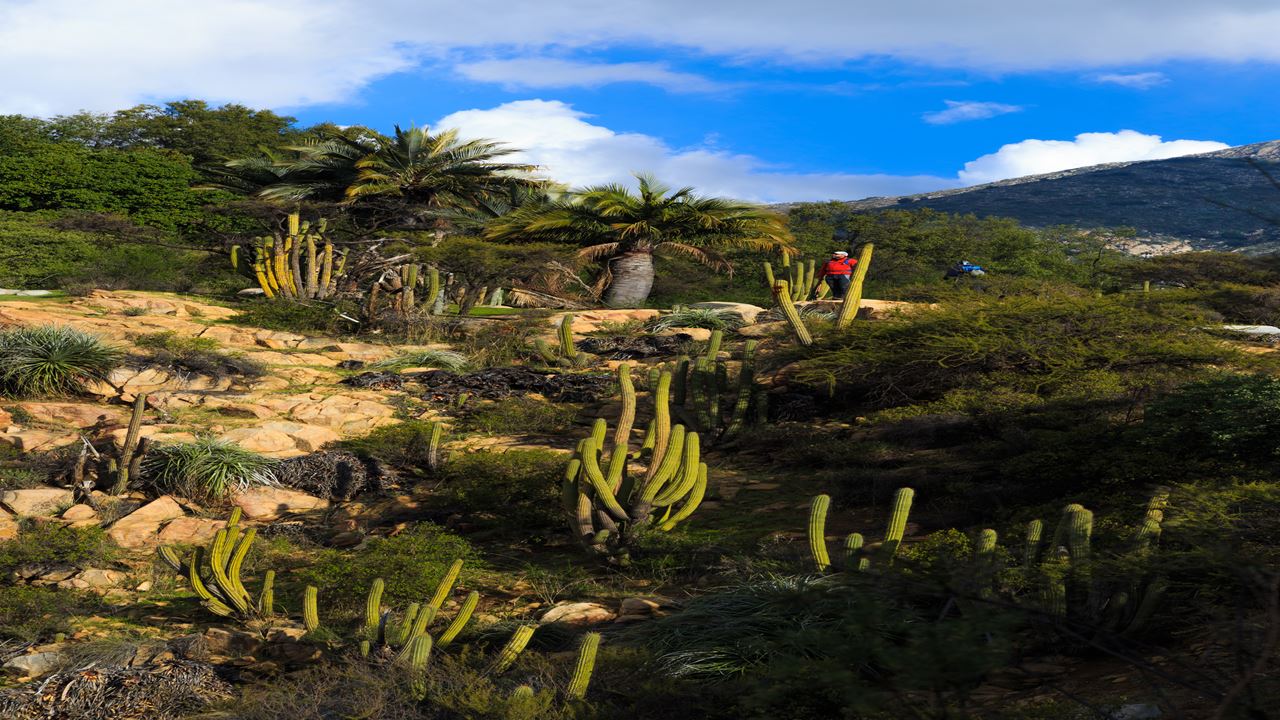 Trekking In La Campana National Park (3)