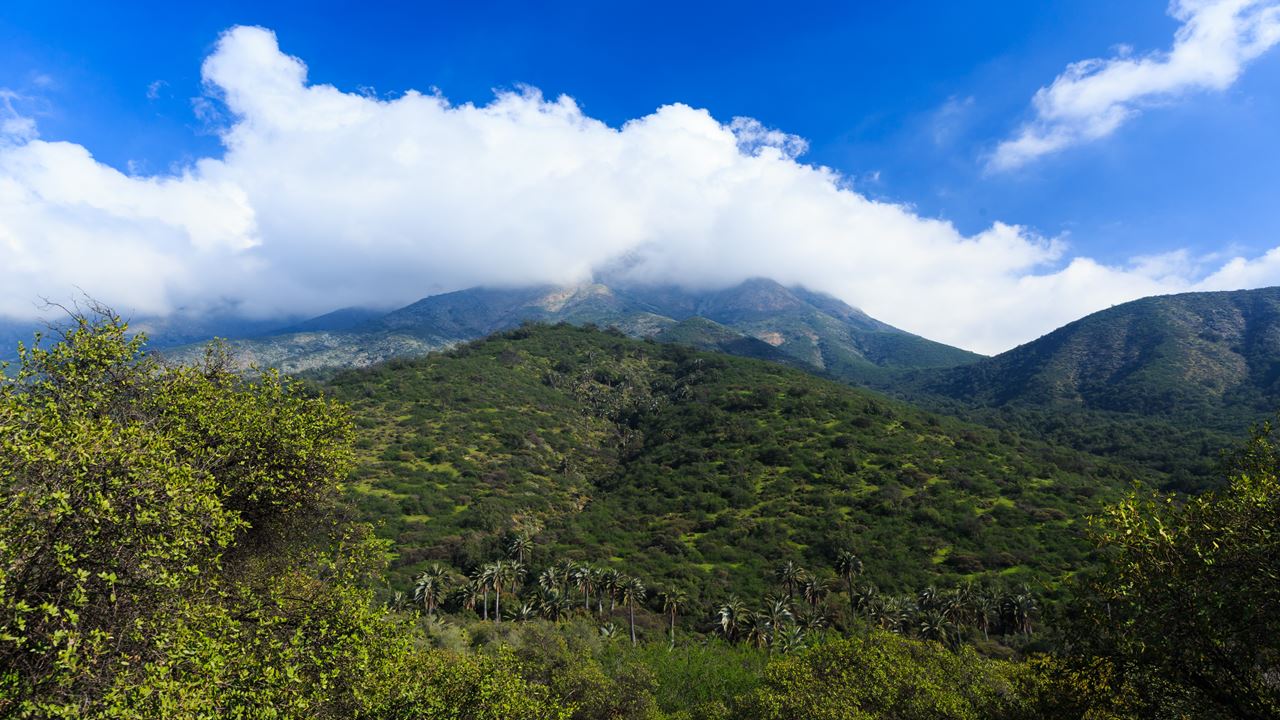Trekking In La Campana National Park (0)