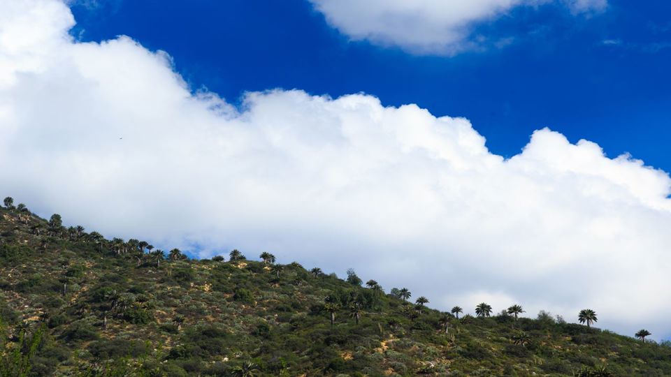 Trekking In La Campana National Park foto 6