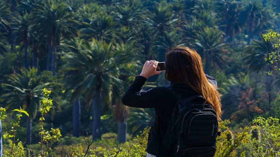 Trekking In La Campana National Park foto 3