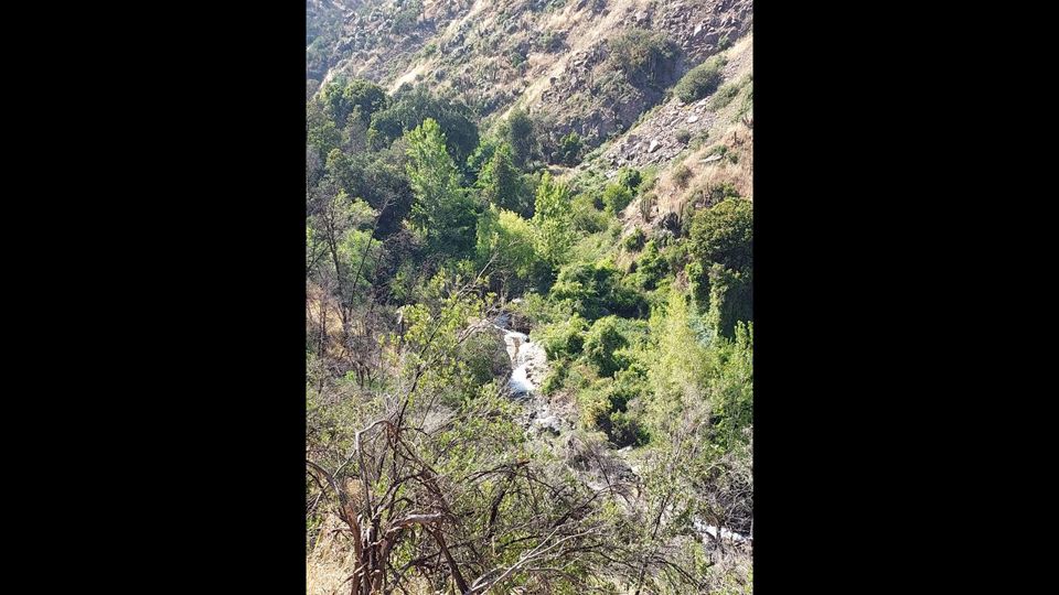 Trekking Aguas De San Ramon Natural Park foto 8