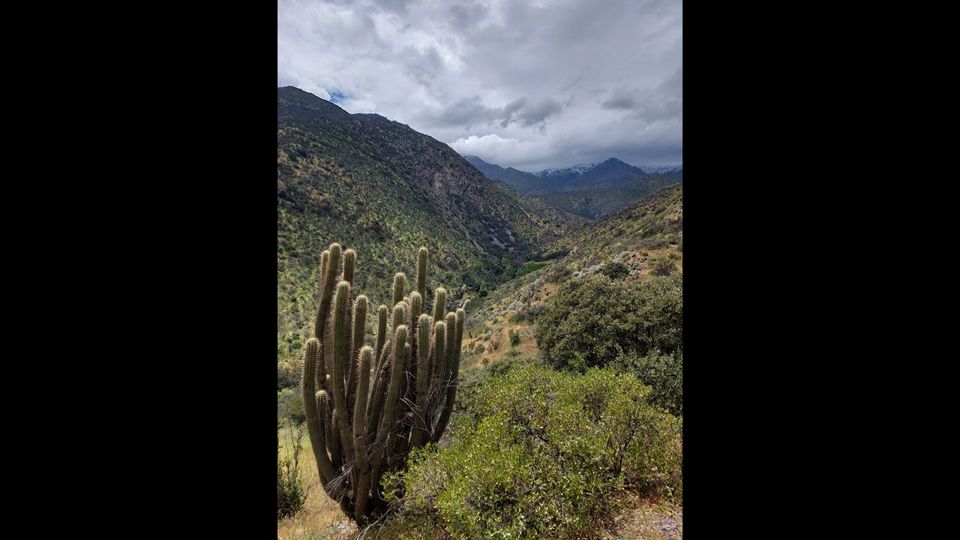Trekking Aguas De San Ramon Natural Park foto 6