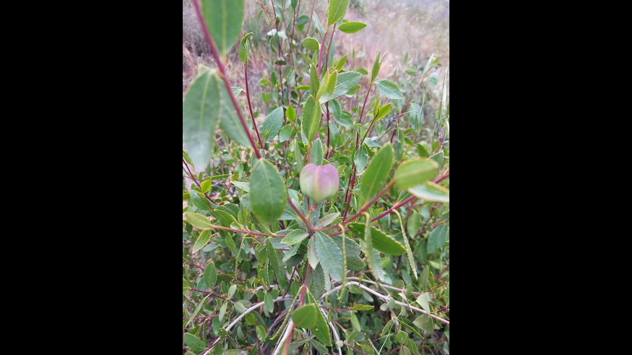Trekking Aguas De San Ramon Natural Park (1)