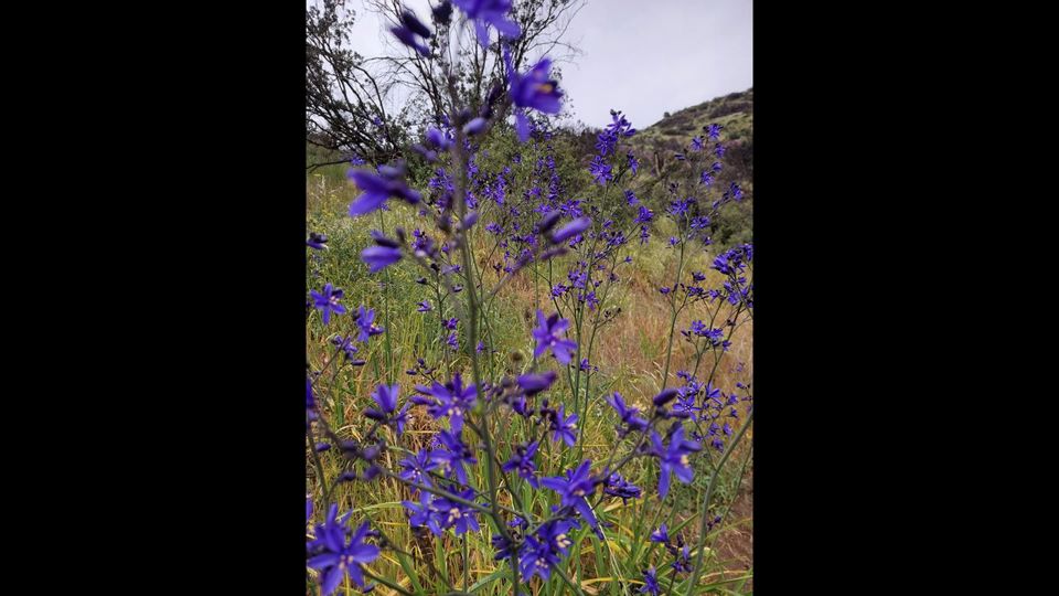 Trekking Aguas De San Ramon Natural Park foto 3