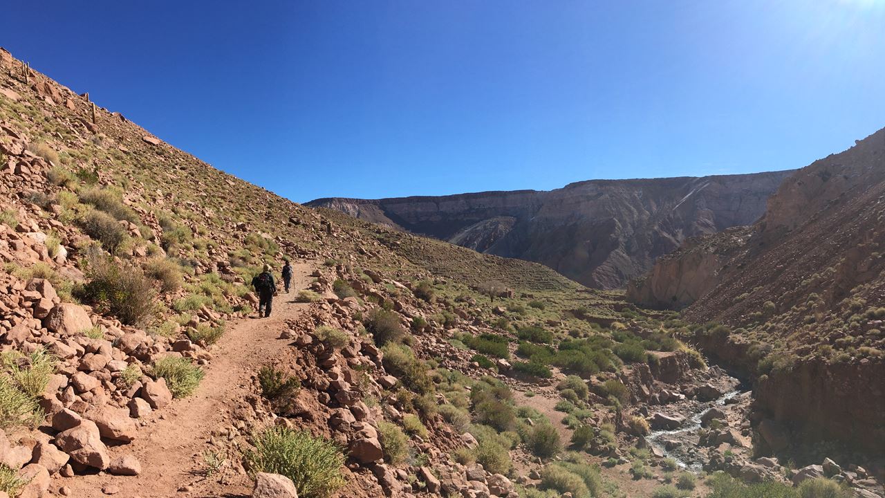 Trekking Río Salado (3)