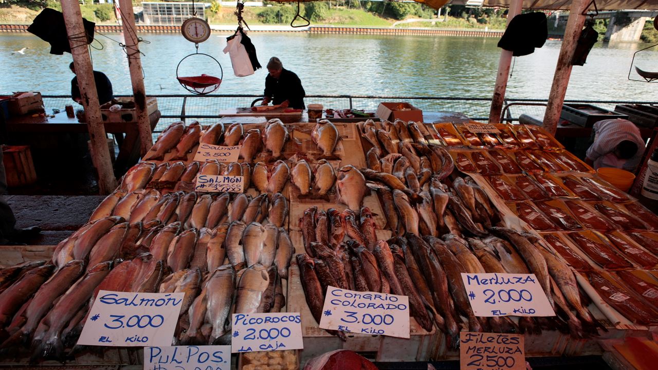 Valdivia Essential City City Tour
 foto 3