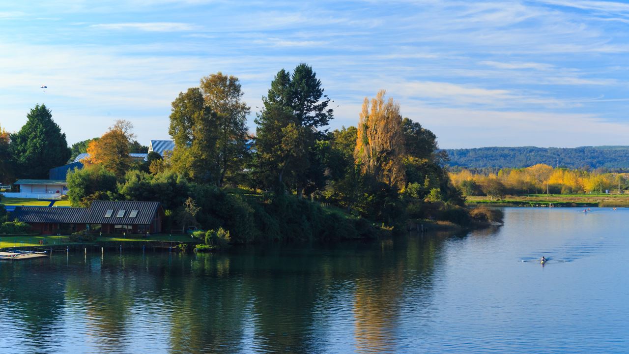 Valdivia Essential City City Tour
 foto 9