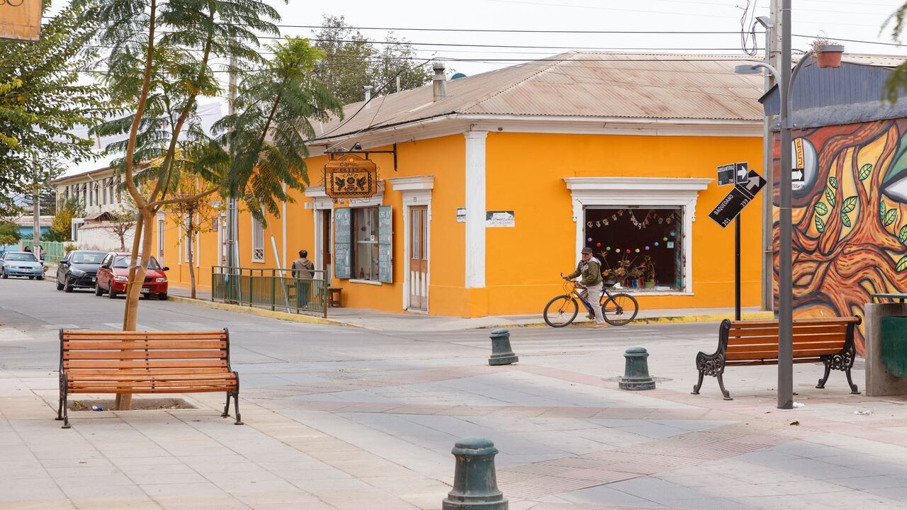 Vale Místico Do Elqui: Cultura, Natureza E Sabores Do Norte Chico foto 8