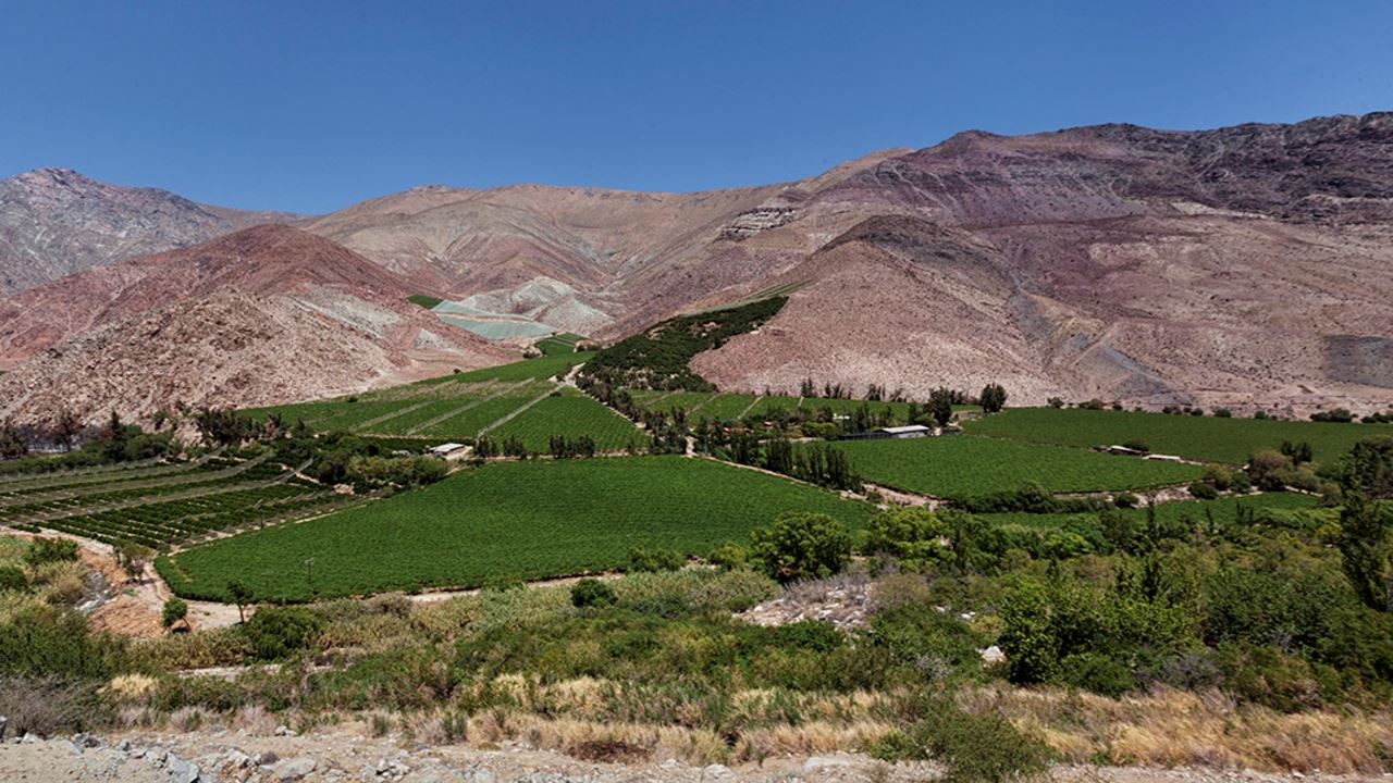 Vale Místico Do Elqui: Cultura, Natureza E Sabores Do Norte Chico foto 2