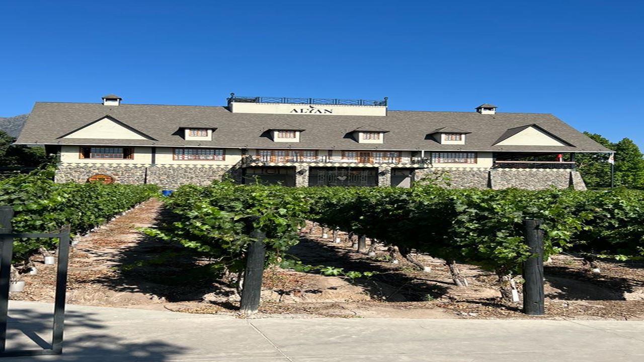 Alyan Sunset Vineyard From Santiago (0)