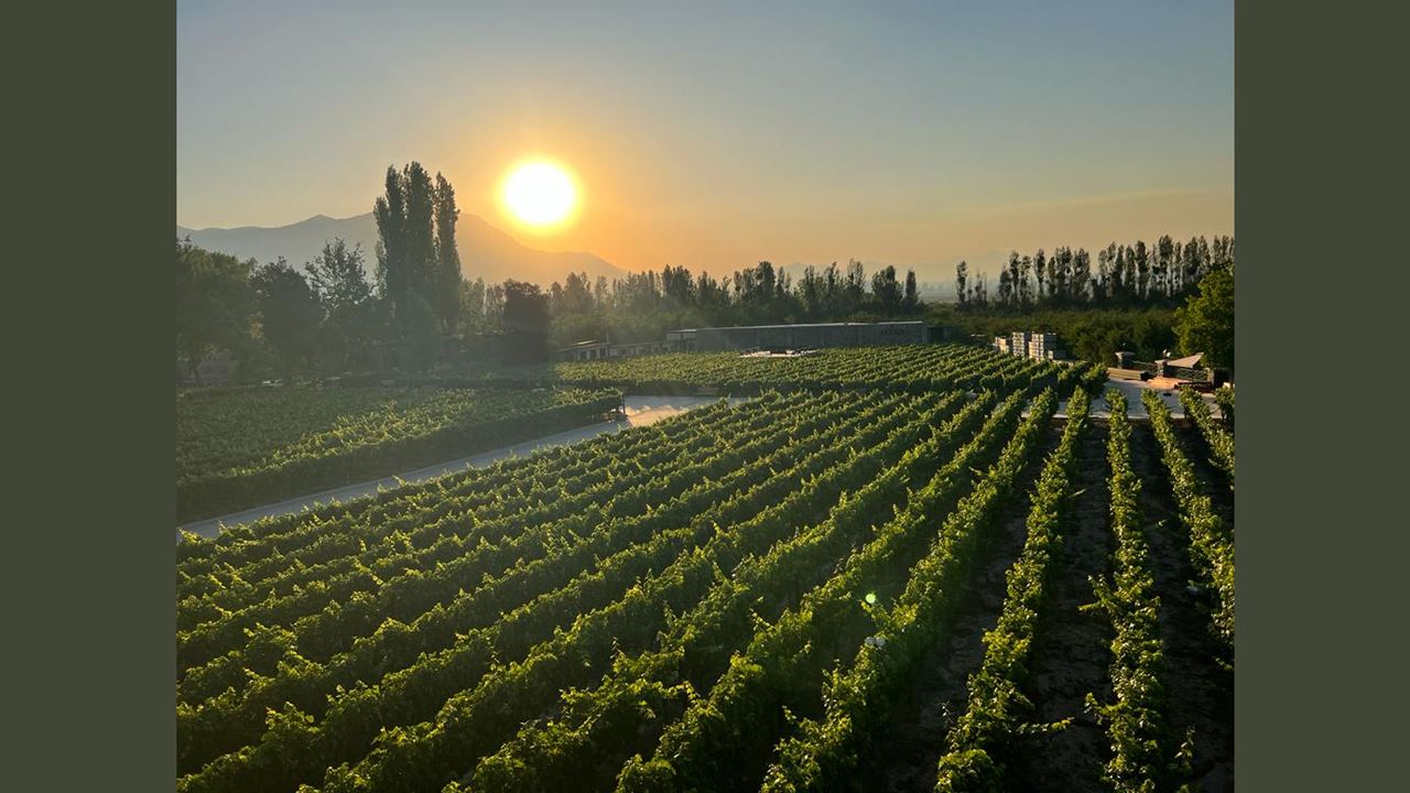 Alyan Sunset Vineyard From Santiago (3)
