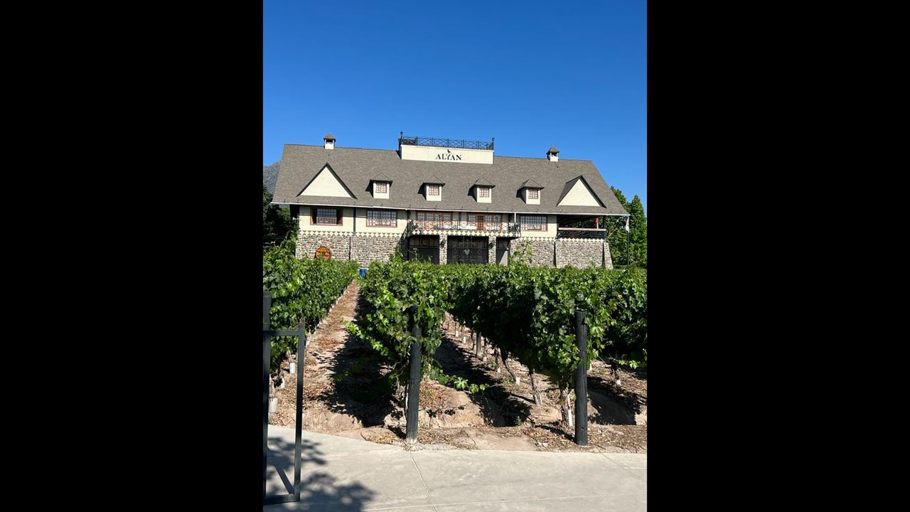 Alyan Sunset Vineyard From Santiago (6)