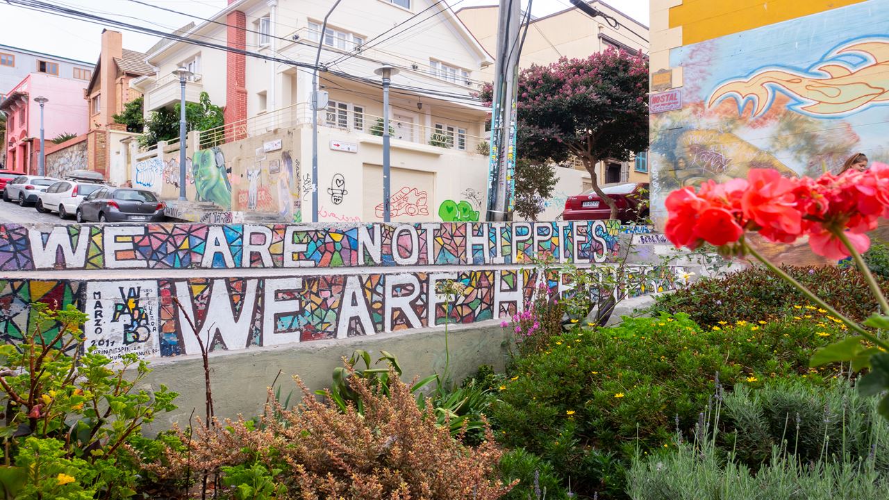 Experience Valparaiso Like A Local (0)