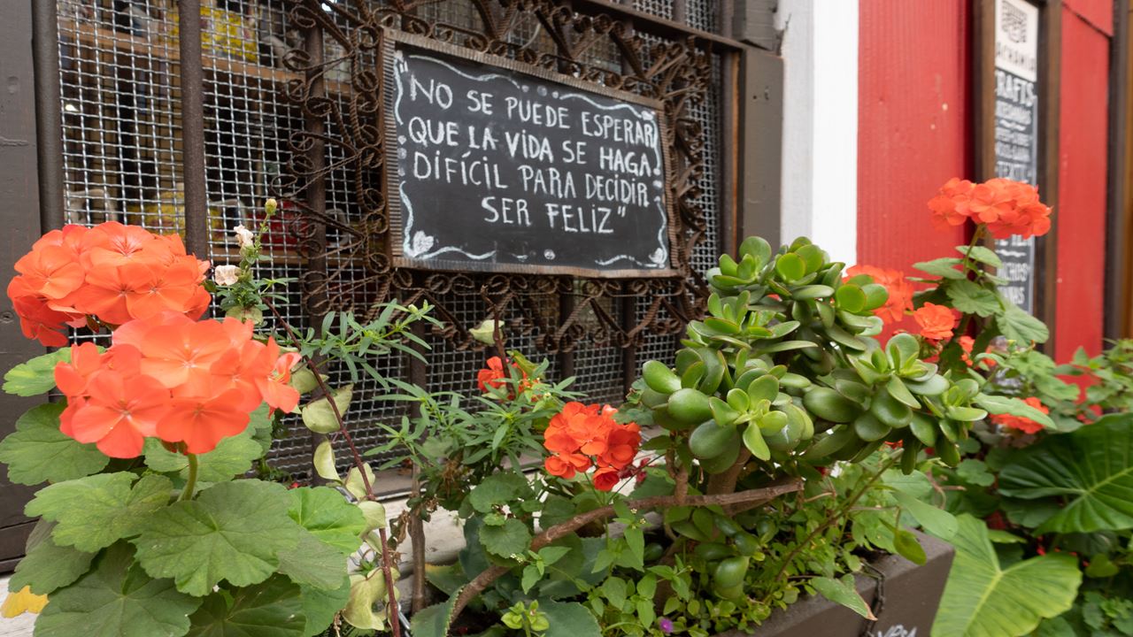Experience Valparaiso Like A Local (6)